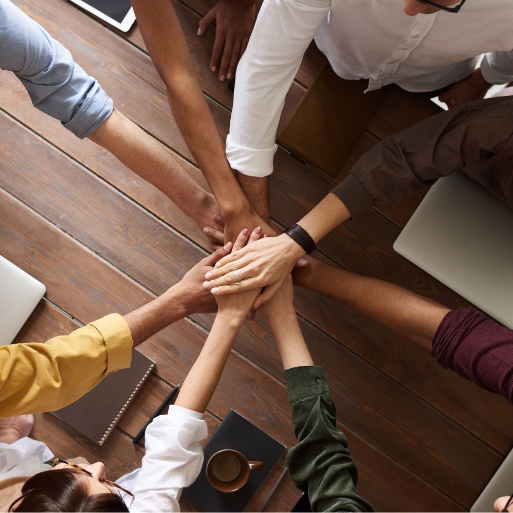 kariyer fırsatları