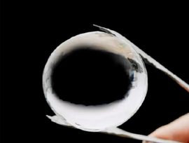 chef alinia kalıpları